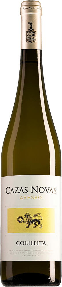 afbeelding-Cazas Novas Avesso