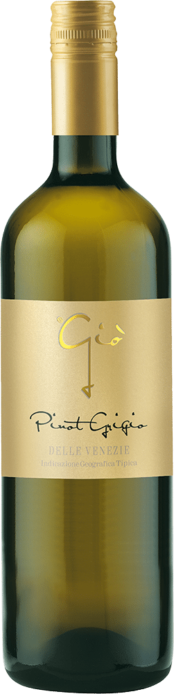 afbeelding-Gio Pinot Grigio