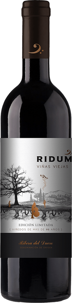 afbeelding-Virgen de la Asunción Ridum Viñas Viejas