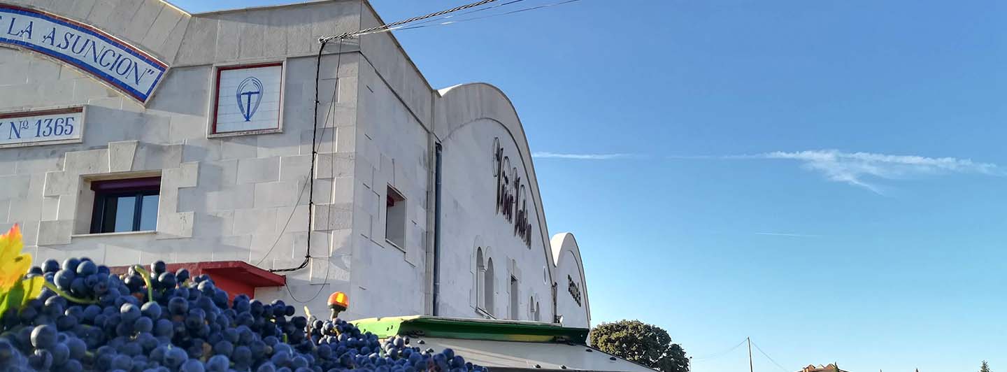 afbeelding-Virgen de la Asunción