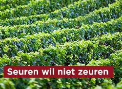 banners-homepage-seuren