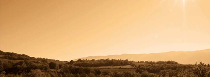 afbeelding-Domaine Alloïs