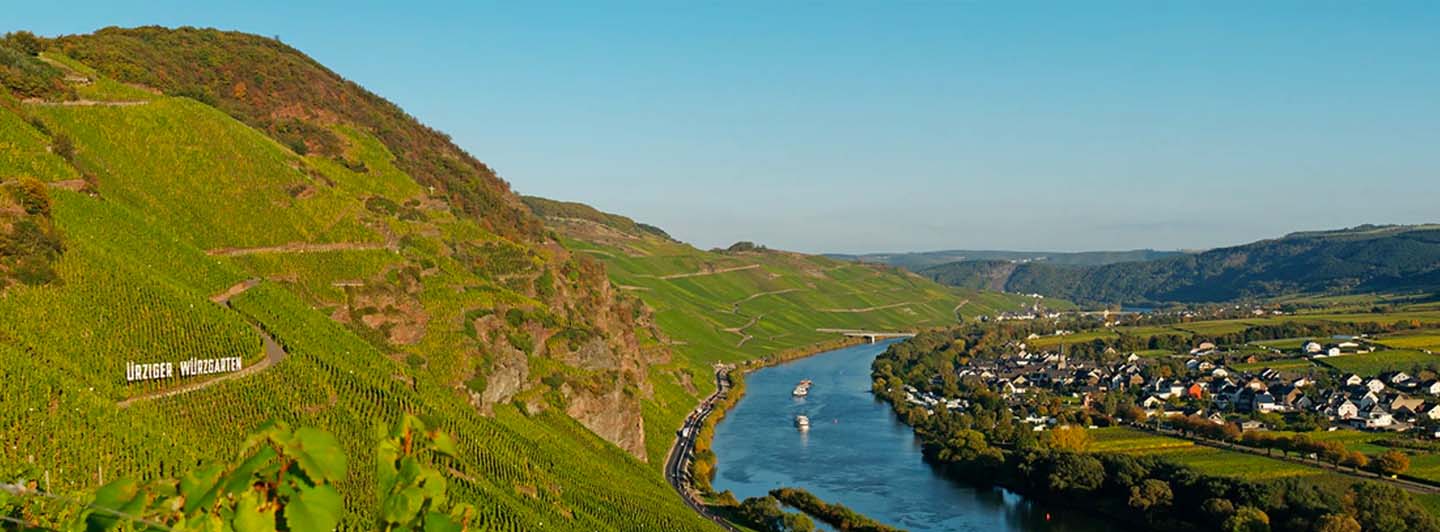 afbeelding-Weingut Mönchhof