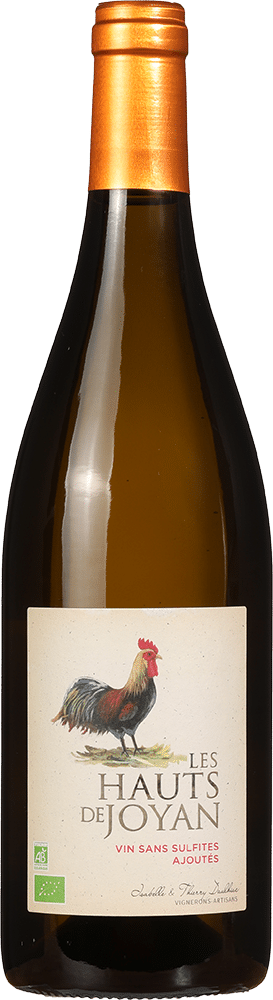 afbeelding-Les Hauts de Joyan Sauvignon Gris