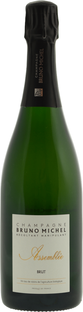 afbeelding-Bruno Michel Assemblée Brut