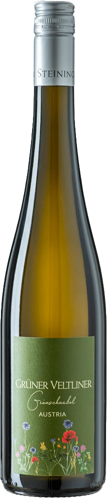 afbeelding-Steininger Grüner Veltliner 'Grünschnabel'