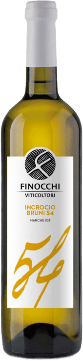 afbeelding-Finocchi Incroccio Bruni 54
