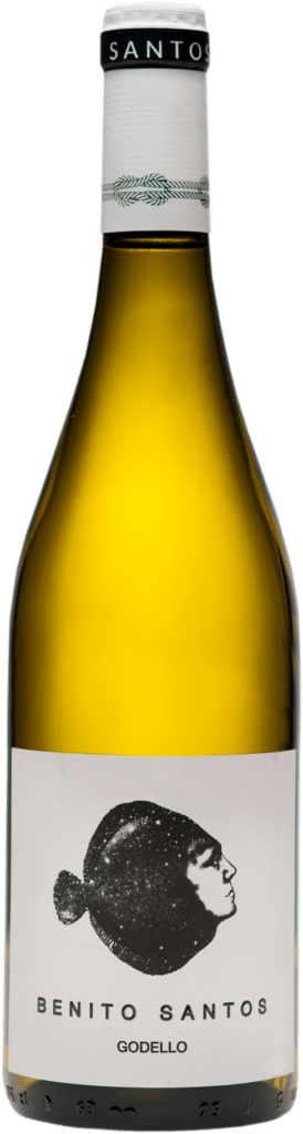 afbeelding-Benito Santos Godello