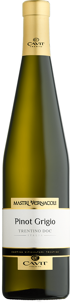 afbeelding-Mastri Vernacoli Pinot Grigio