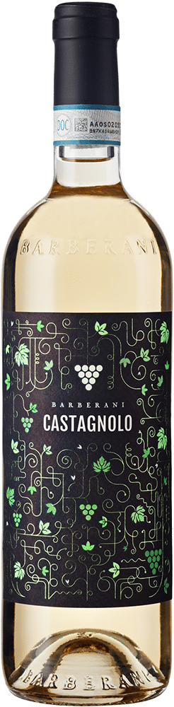 afbeelding-Barberani Castagnolo