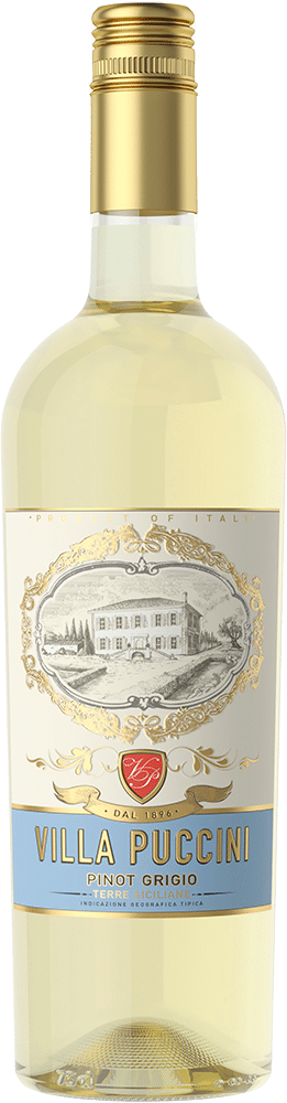 afbeelding-Villa Puccini Pinot Grigio