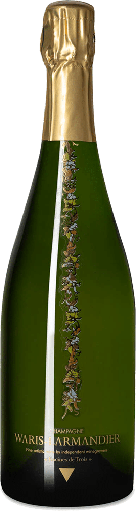 afbeelding-Waris-Larmandier Racines de Trois
