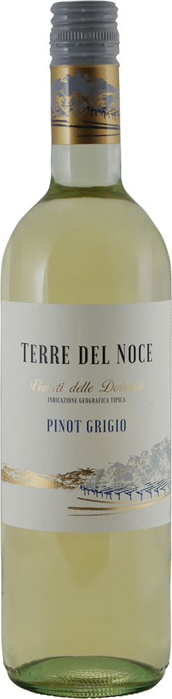 afbeelding-Terre del Noce Pinot Grigio