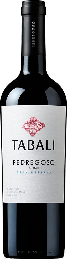 afbeelding-Tabali Syrah Gran Reserva 'Pedregoso'