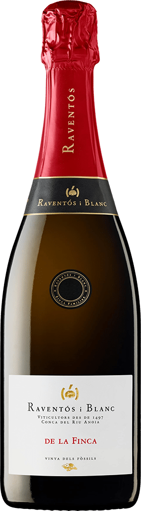 afbeelding-Raventós i Blanc De La Finca 'Vinya dels Fòssils'