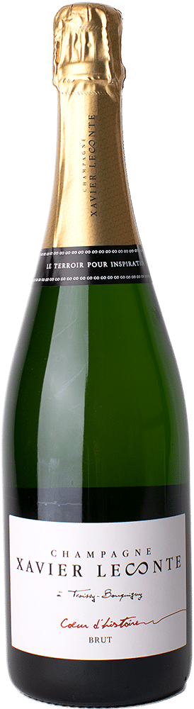 afbeelding-Xavier Leconte Coeur d'Histoire Brut