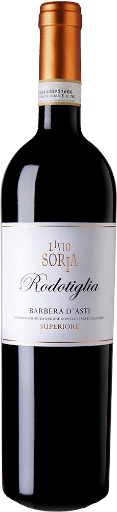 afbeelding-Livio Soria Rotodoglia