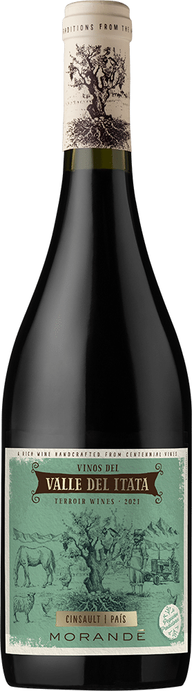 afbeelding-Morandé Cinsault|País