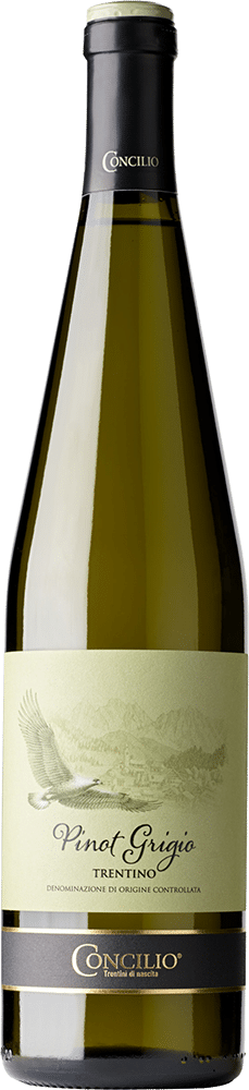 afbeelding-Concilio Pinot Grigio