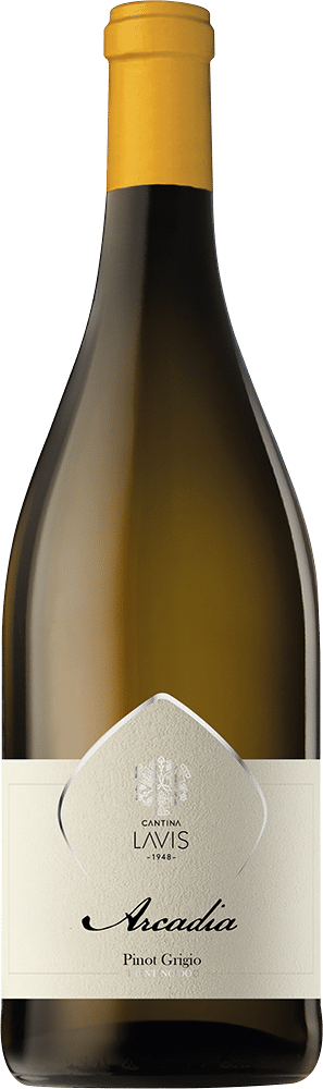 afbeelding-Cantina LaVis Pinot Grigio ‘Arcadia’