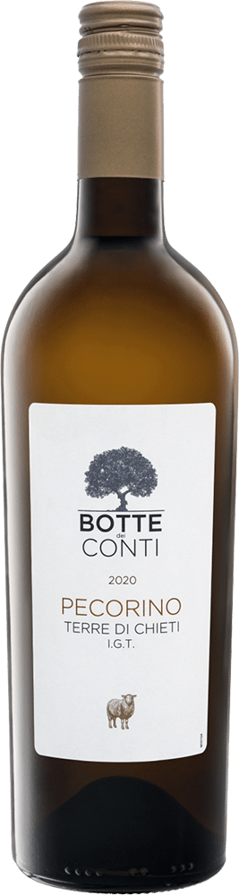 Grote Hamersma Botte Conti Pecorino - De