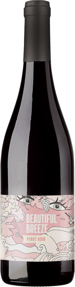 afbeelding-ViaVIÑA Beautiful Breeze Pinot Noir