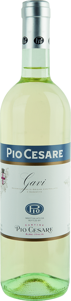 afbeelding-Pio Cesare Gavi