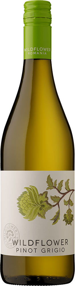 afbeelding-Wildflower Pinot Grigio