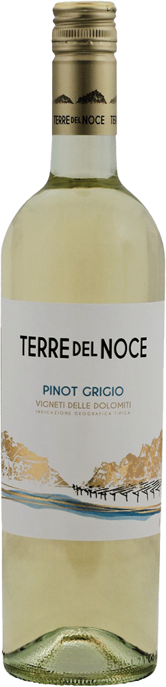 afbeelding-Terre del Noce Pinot Grigio