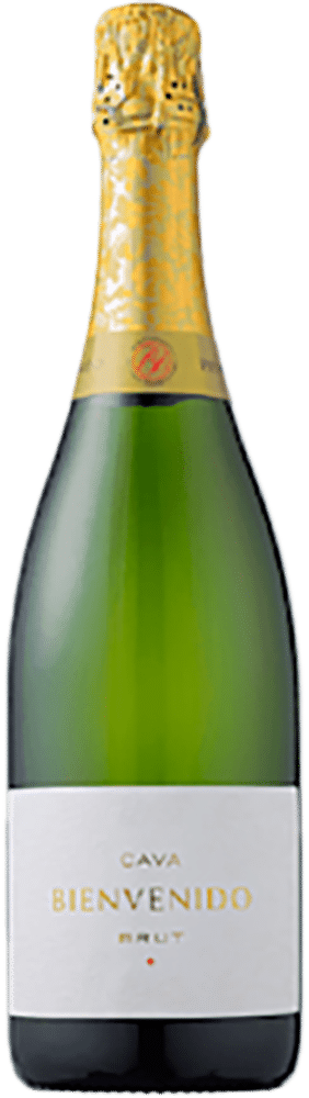 afbeelding-Bienvenido Cava Brut