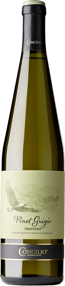 afbeelding-Concilio Pinot Grigio