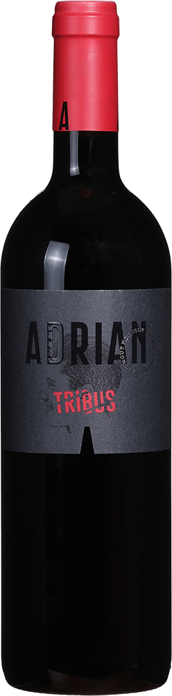 afbeelding-Weingut Adrian Tribus