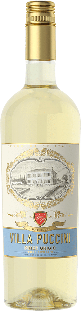 afbeelding-Villa Puccini Pinot Grigio