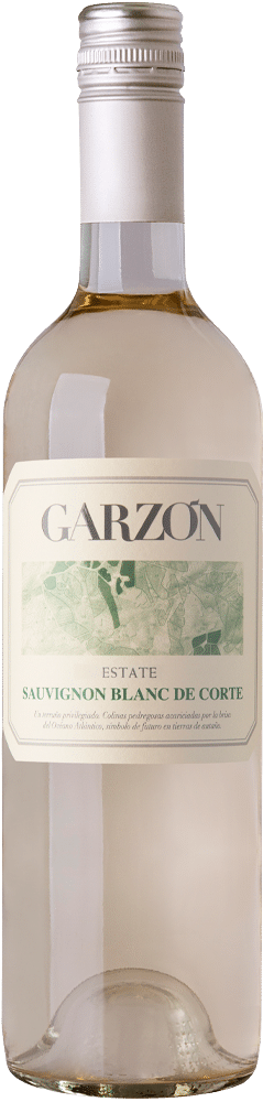 afbeelding-Garzón Sauvignon Blanc
