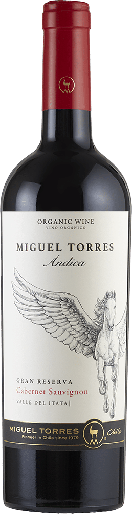 afbeelding-Miguel Torres Cabernet Sauvignon Gran Reserva 'Ándica'