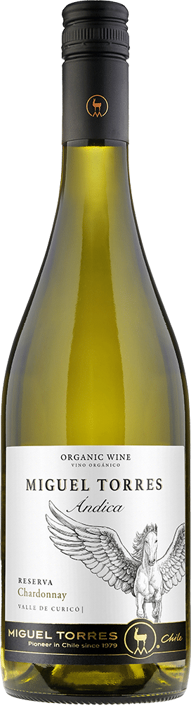afbeelding-Miguel Torres Chardonnay Reserva 'Ándica'