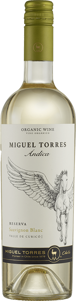 afbeelding-Miguel Torres Sauvignon Blanc Reserva 'Ándica'