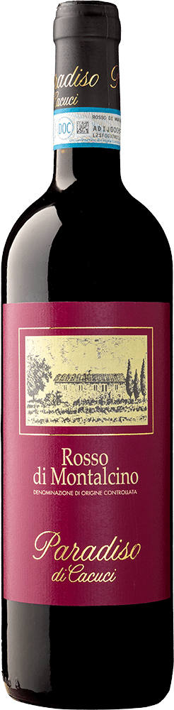 afbeelding-Paradiso di Cacuci 