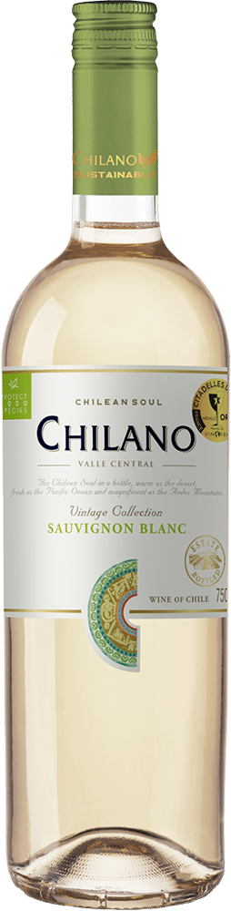 afbeelding-Chilano Vintage collection Sauvignon blanc 