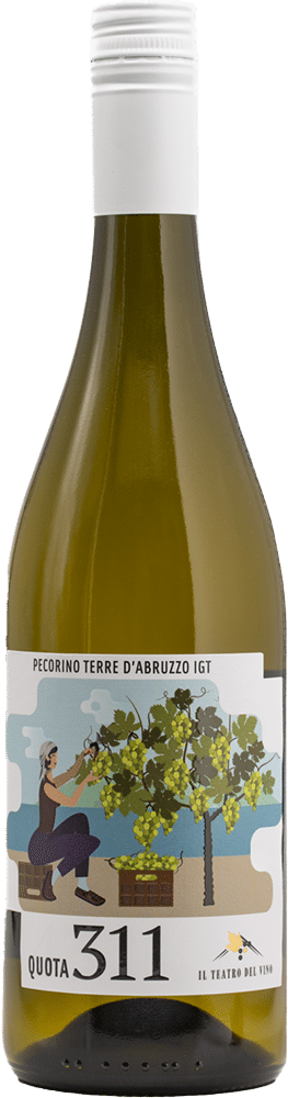 afbeelding-Il Teatro del Vino Quota 311 'Pecorino'