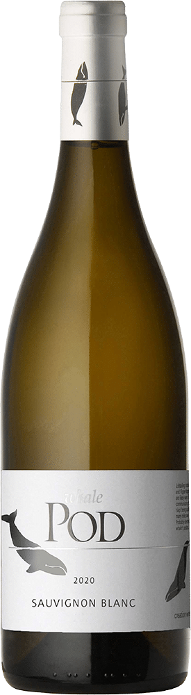afbeelding-Whale Pod Sauvignon Blanc