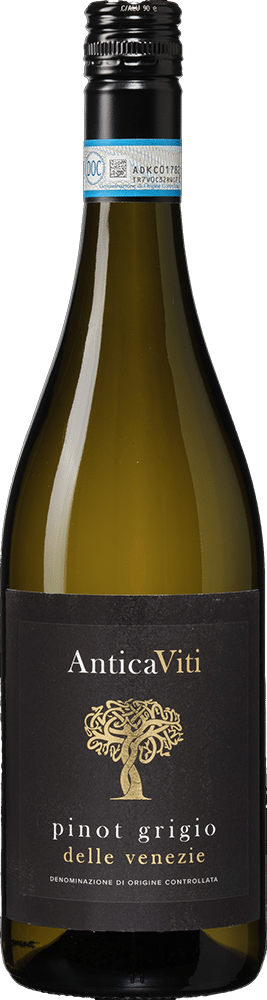 afbeelding-Antica Viti Pinot Grigio delle Venezie