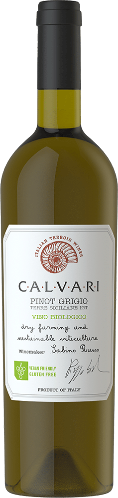 afbeelding-Calvari Pinot Grigio